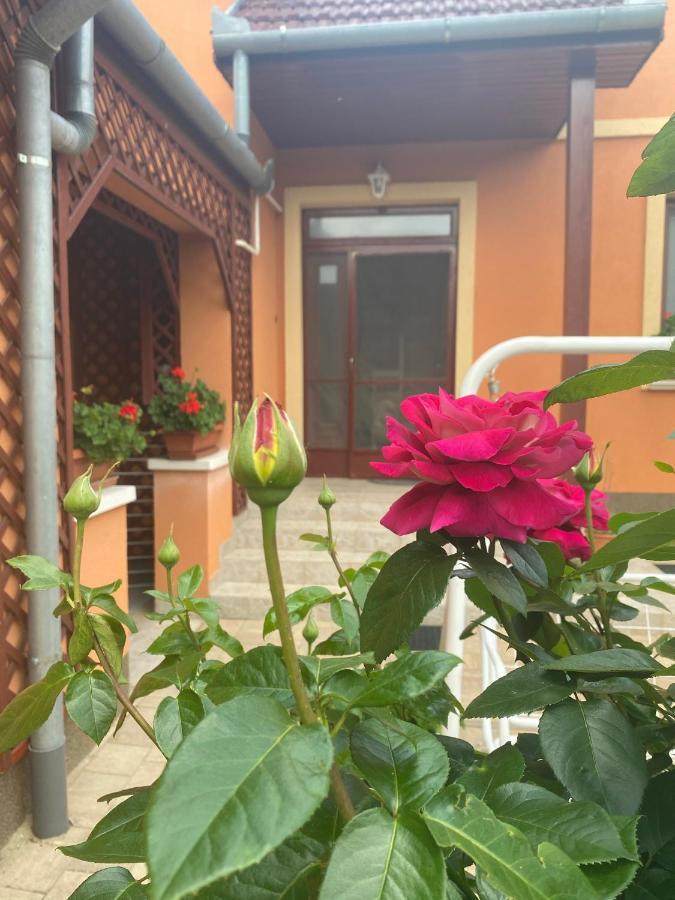 Apartman Dora Hajdúszoboszló Dış mekan fotoğraf