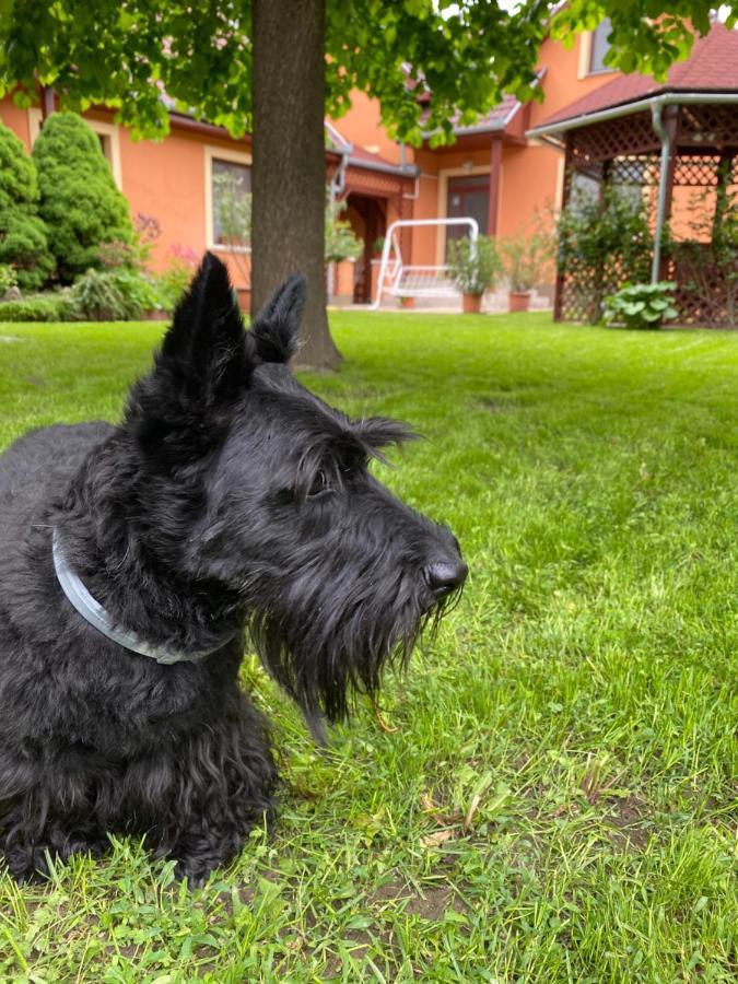Apartman Dora Hajdúszoboszló Dış mekan fotoğraf