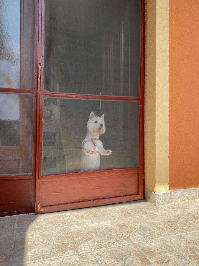 Apartman Dora Hajdúszoboszló Dış mekan fotoğraf