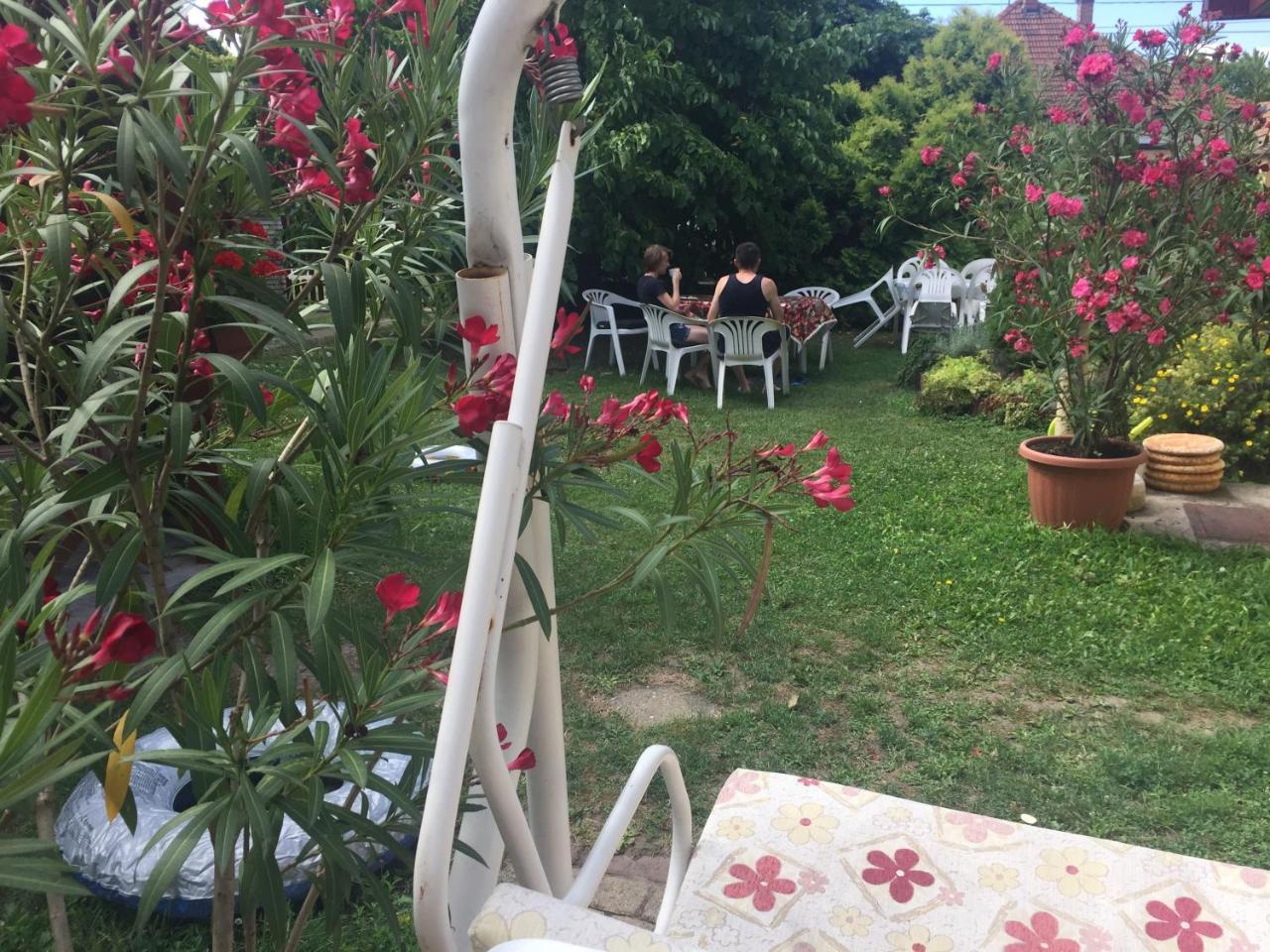 Apartman Dora Hajdúszoboszló Dış mekan fotoğraf